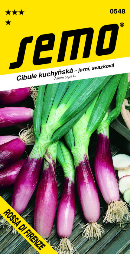 Küchenzwiebel Rossa di Firenze