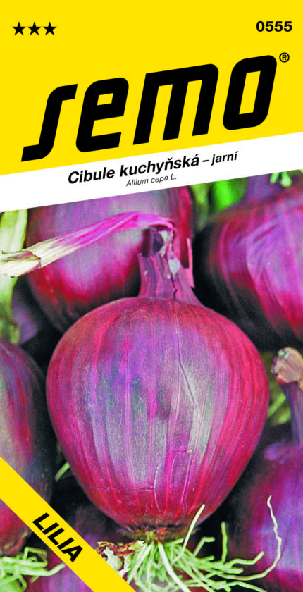 Küchenzwiebel Lilia