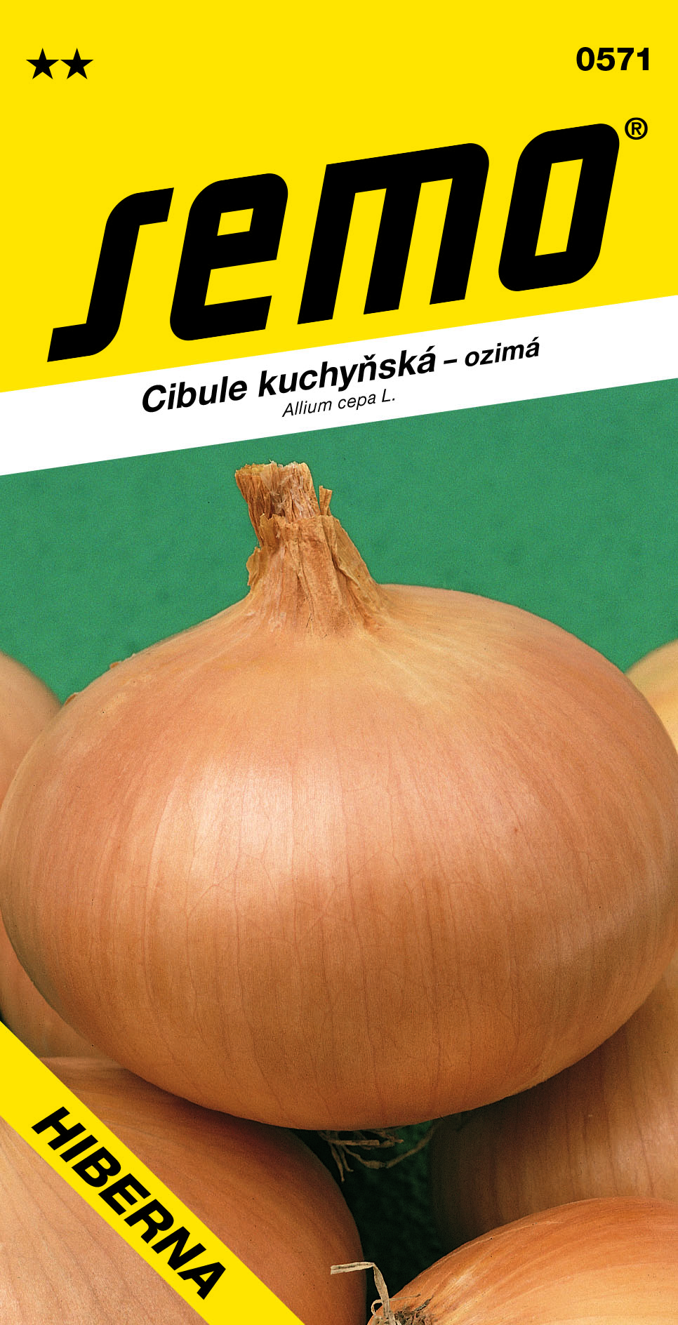 0571_cibule HIBERNA