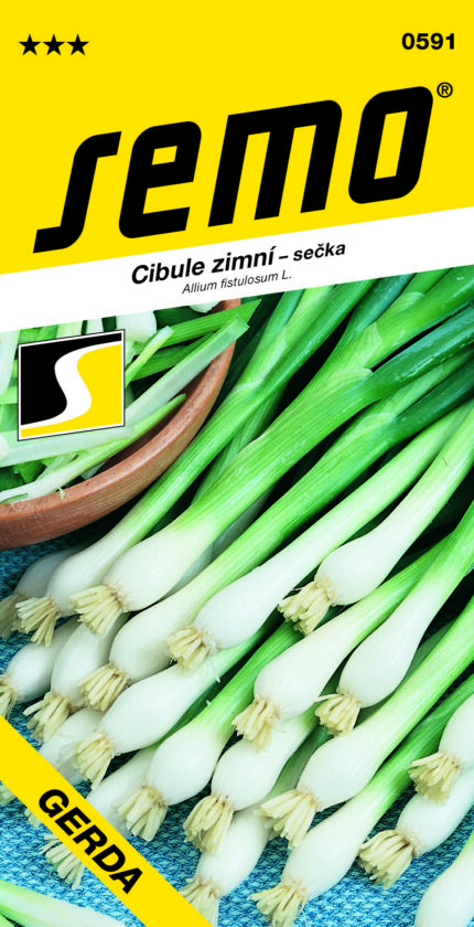 Winterzwiebel Gerda (Samen)