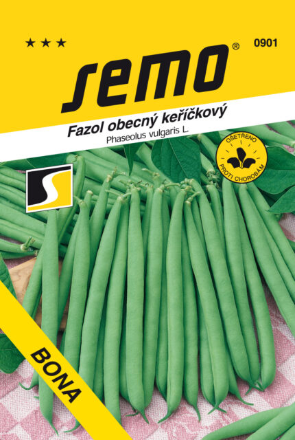 Gewöhnliche Buschbohne Bona