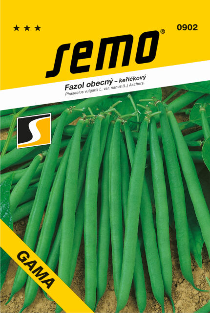 Gewöhnliche Buschbohne Gama