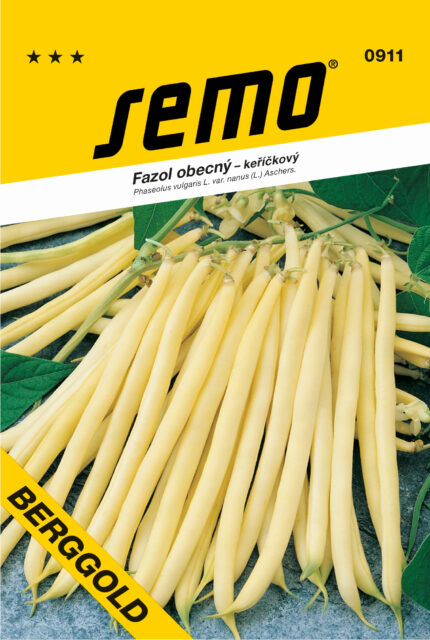 Gewöhnliche Buschbohne Berggold