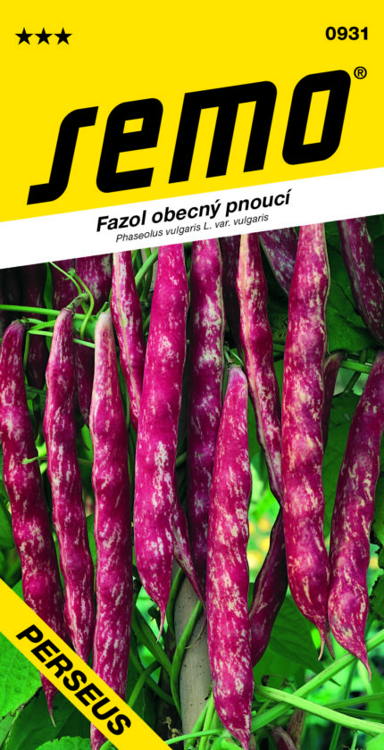 Stangenbohne Perseus