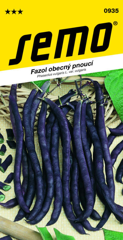 Stangenbohne A Cosse Violette Sans Fil