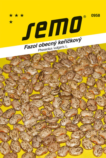 Gartenbohne Buschbohne Taylor’s Horticultural