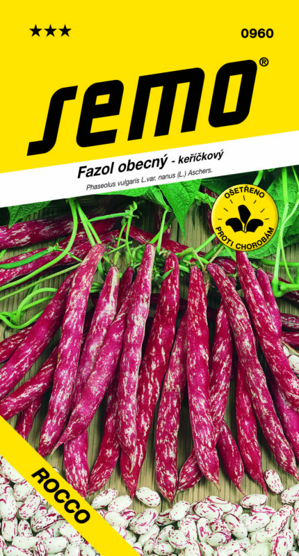 Gewöhnliche Buschbohne Rocco