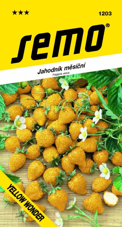 Monatserdbeere Yellow Wonder