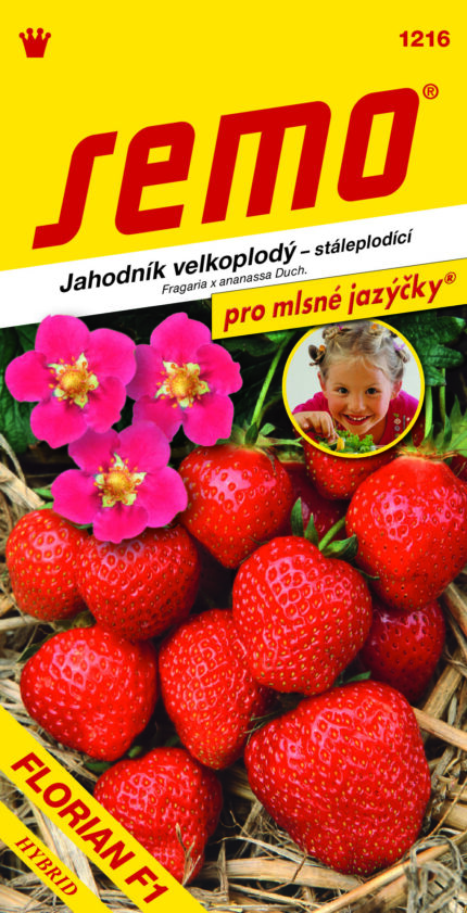 Erdbeere Florian F1