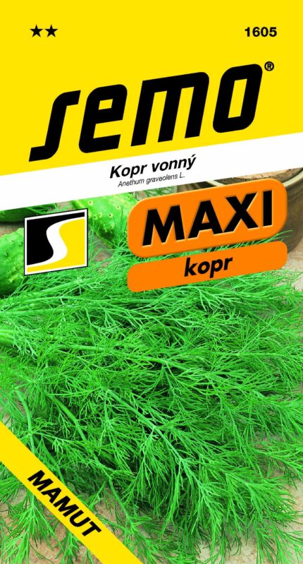 Aromatischer Dill Mamut