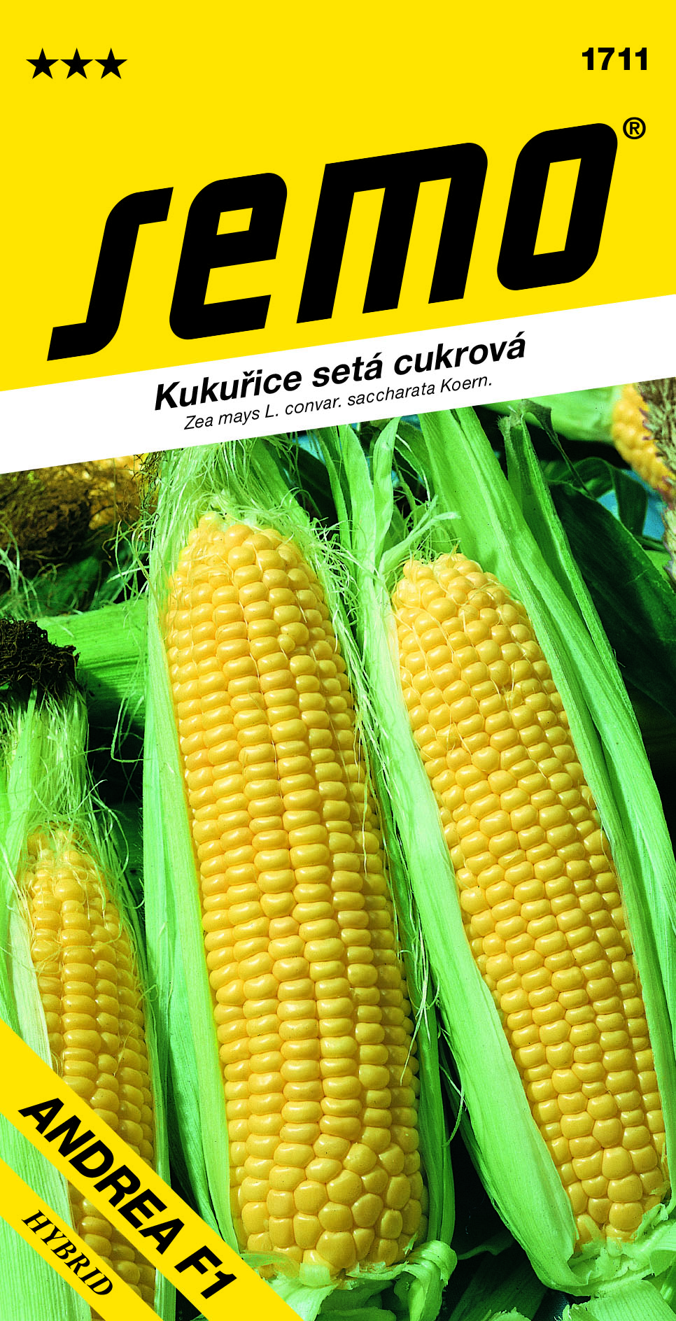 1711_kukuřice ANDREA F1