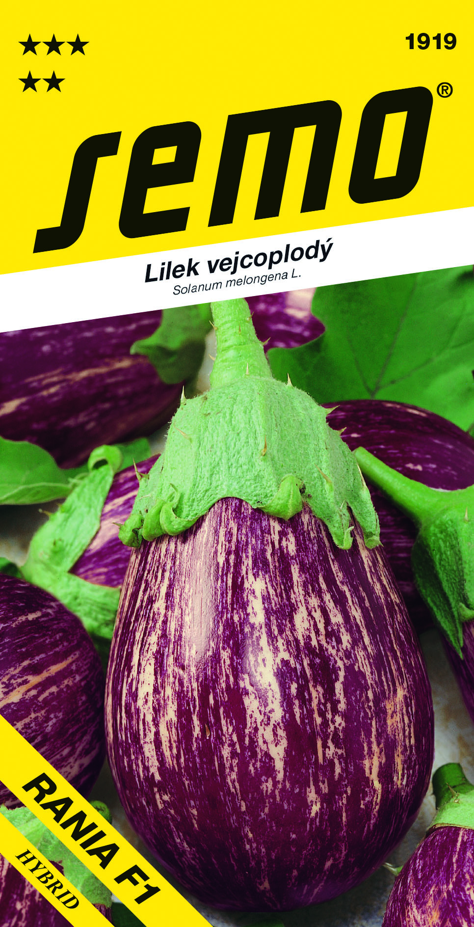 1919_lilek RANIA F1_N1702569_VS