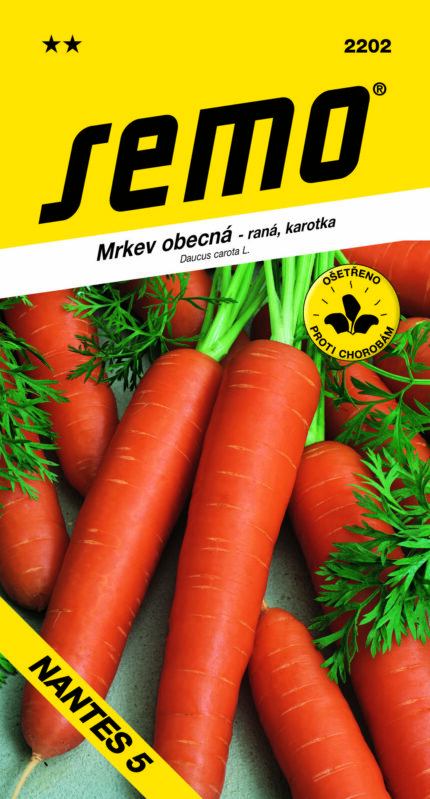 Möhre gewöhnlich Nantes 5 (Samen)