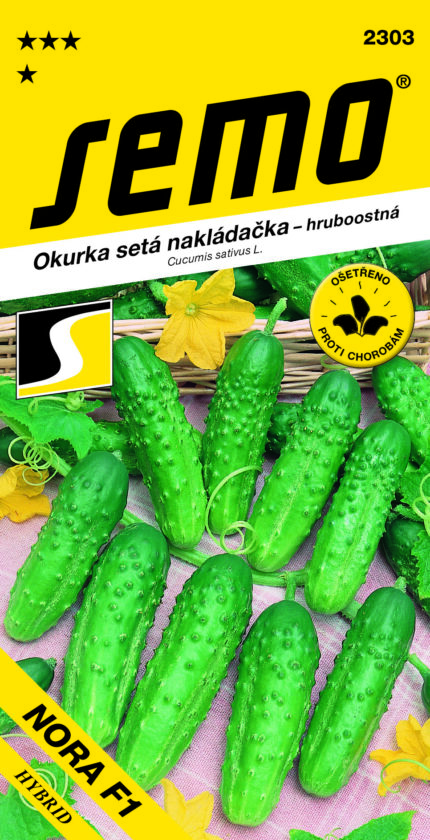 Naklappgurke Nora F1 – grobstachelige Sorte (Samen)