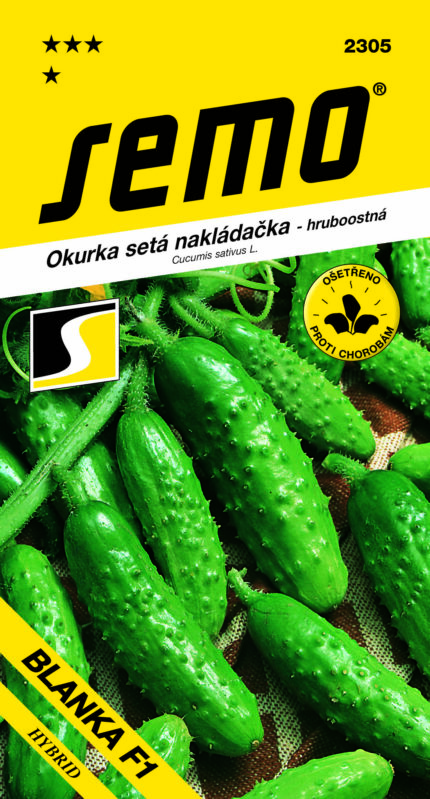 Salatgurke Blanka F1 – grob warzig (samen)