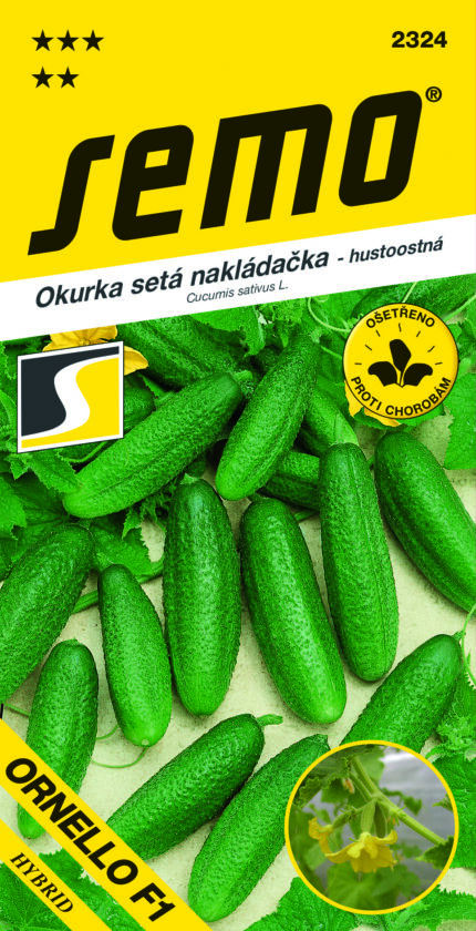 Naklappgurke Ornello F1 – feinstachelige Sorte (Samen)