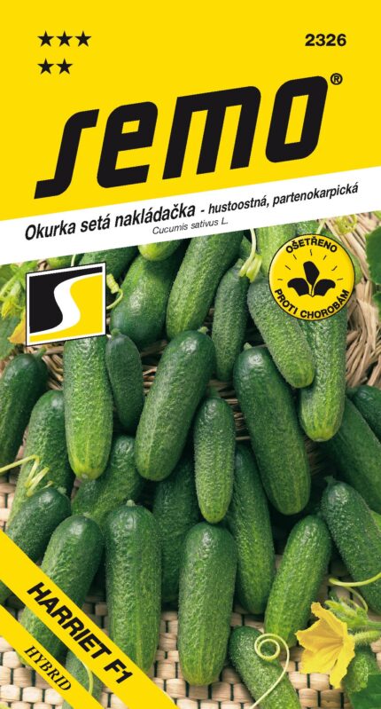 Einlegegurke (Glattsamige Gurke) Harriet F1 – dicht bedornt (samen)