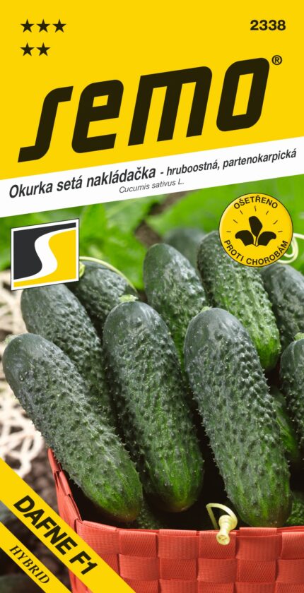 Einlegegurke Dafne F1 – grobwüchsig (Samen)