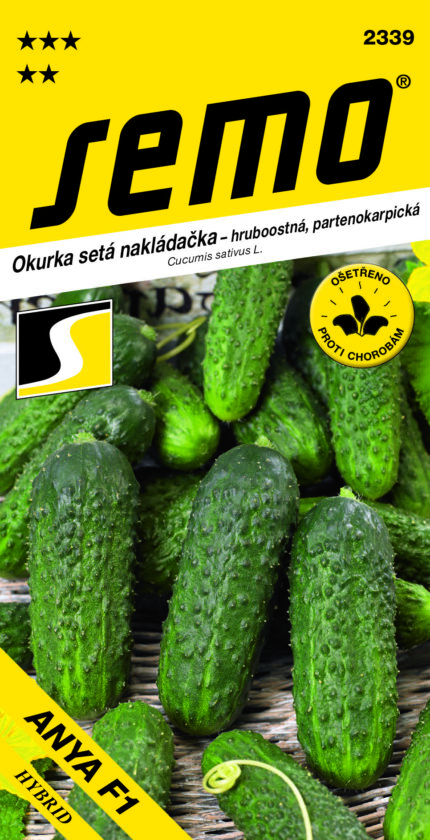 Einlegegurke Anya F1 – grobkörnig (samen)