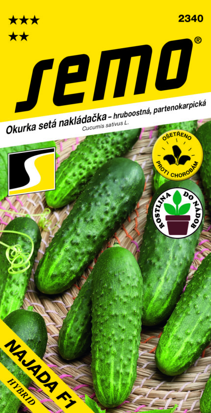 Naklappgurke Najada F1 – grobstachelig (Samen)