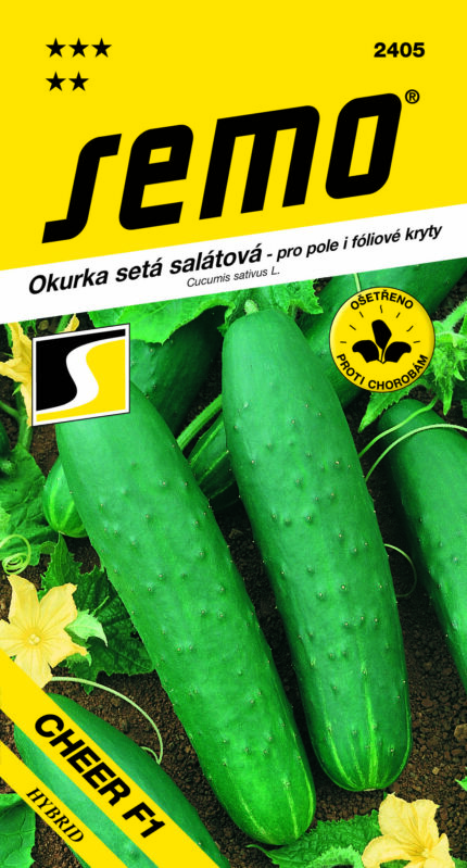 Salatgurke Cheer F1 (Samen)