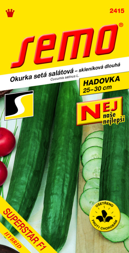 Gurke (Salatgurke) Hadovka Superstar F1