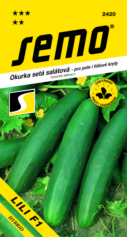 Salatgurke Lili F1 (Samen)