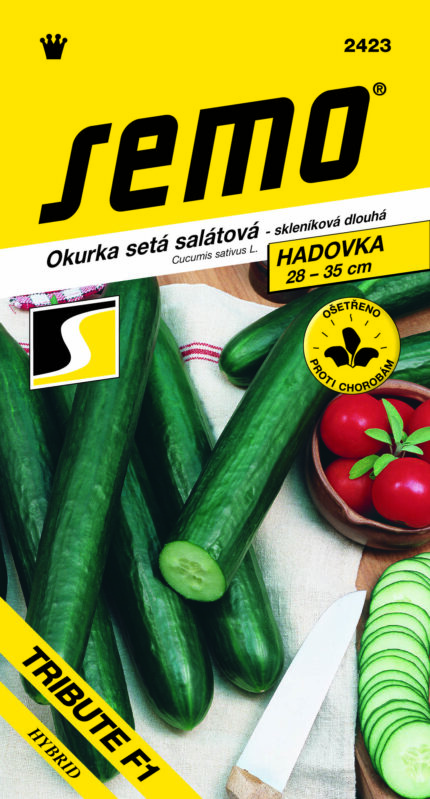 Salatgurke Tribute F1 (Samen)