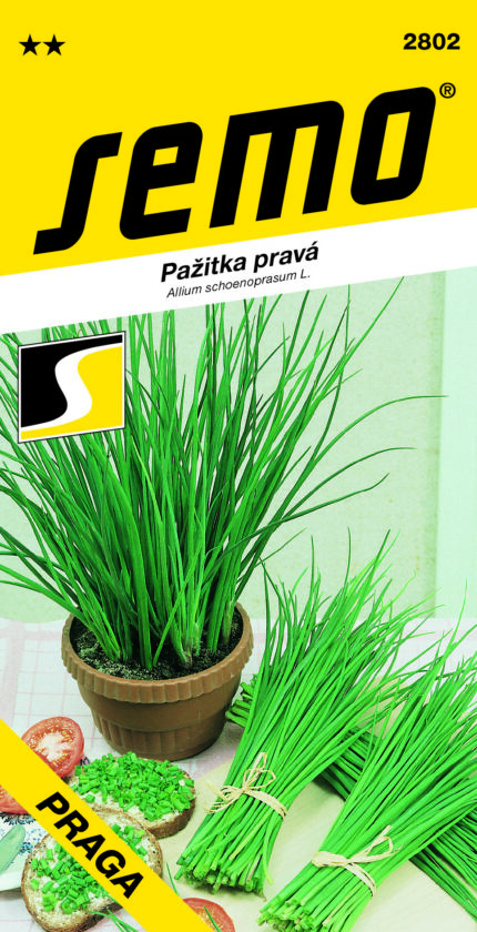 Schnittlauch Praga (Samen)