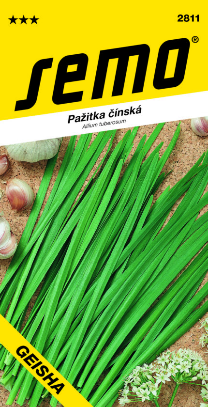 Chinese chives Geisha (Samen)