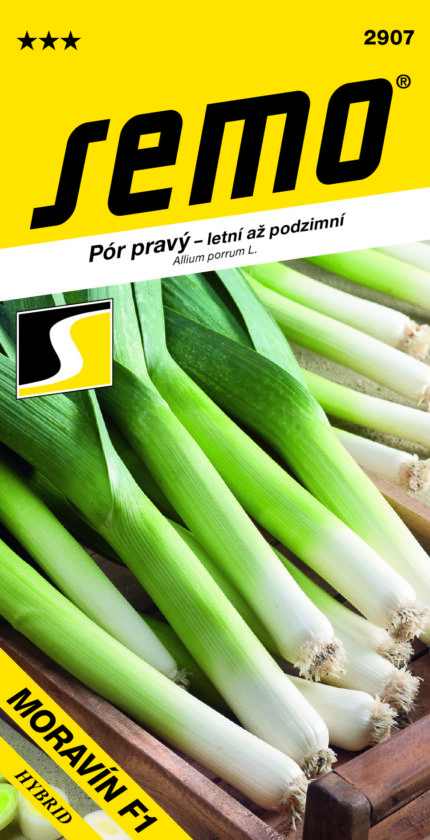 Porree „Moravín F1“ (Samen)