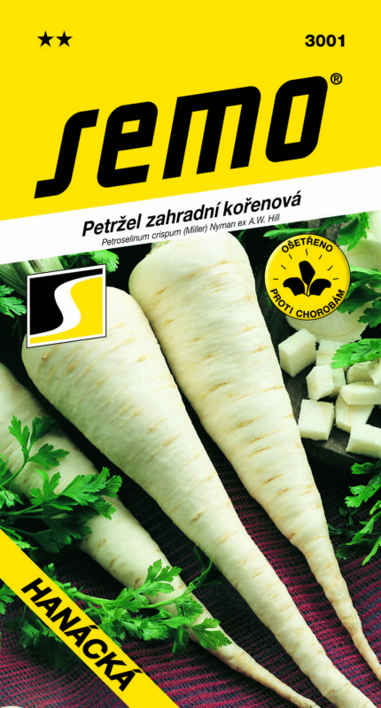 Garten-Petersilie Wurzel Hanácká (samen)