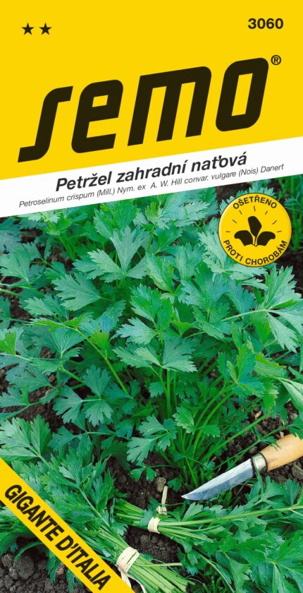 Glatte Petersilie Gigante d’Italia (Samen)