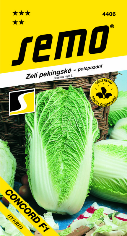 Chinakohl **Concord F1**  (samen)