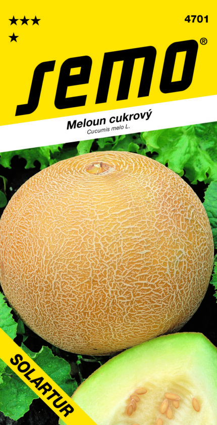 Zuckermelone Solartur