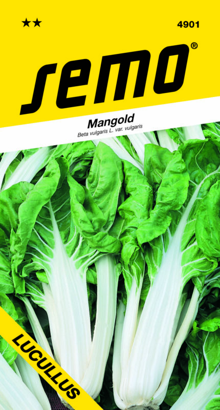Mangold Lucullus (samen)