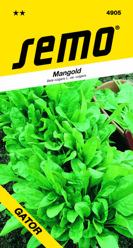 Mangold Perpetual Spinach (Gator) (samen)