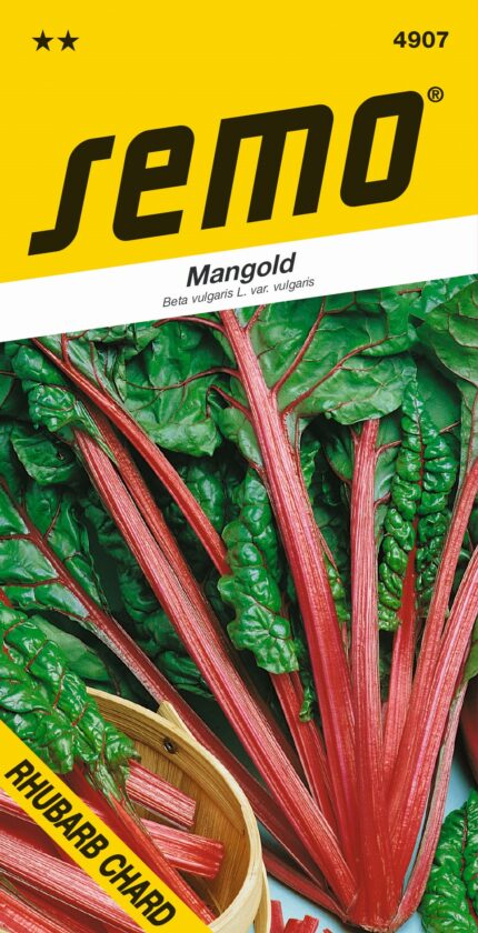 Mangold Rhubarb Chard (samen)