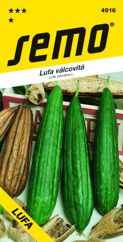 Zylindrische Luffa