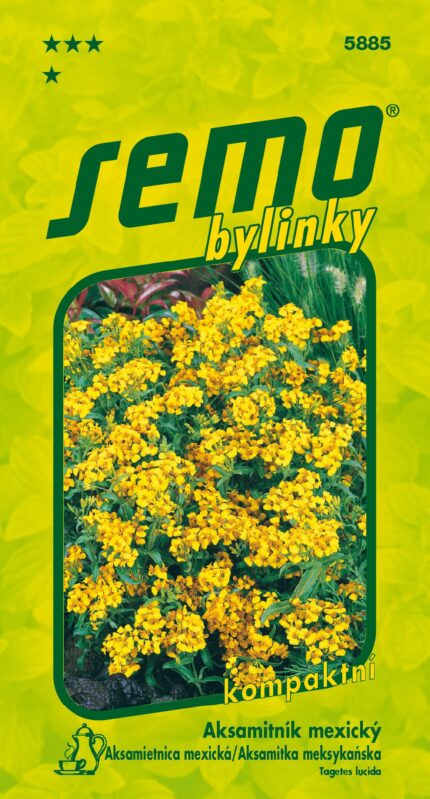 Mexikanische Studentenblume Samen