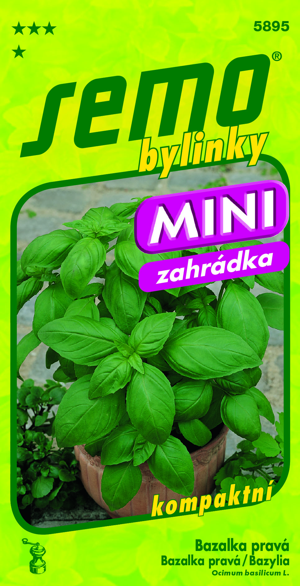 5895_bazalka MAMMOLO GENOVESE