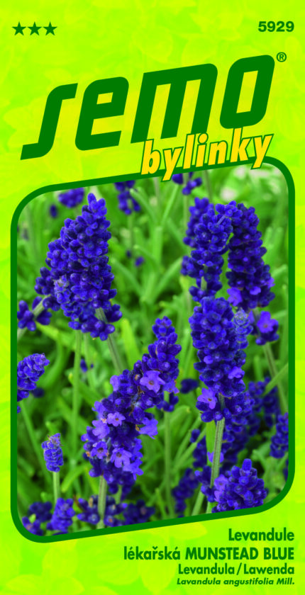 Echter Lavendel Munstead Blue Samen