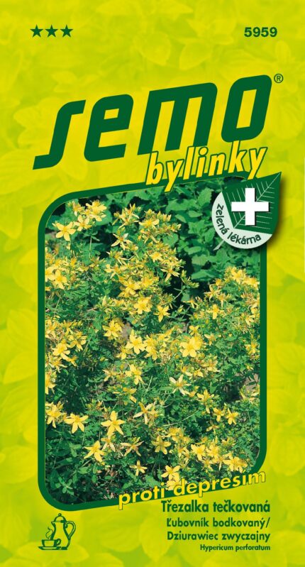 Johanniskraut (Hypericum perforatum) Samen