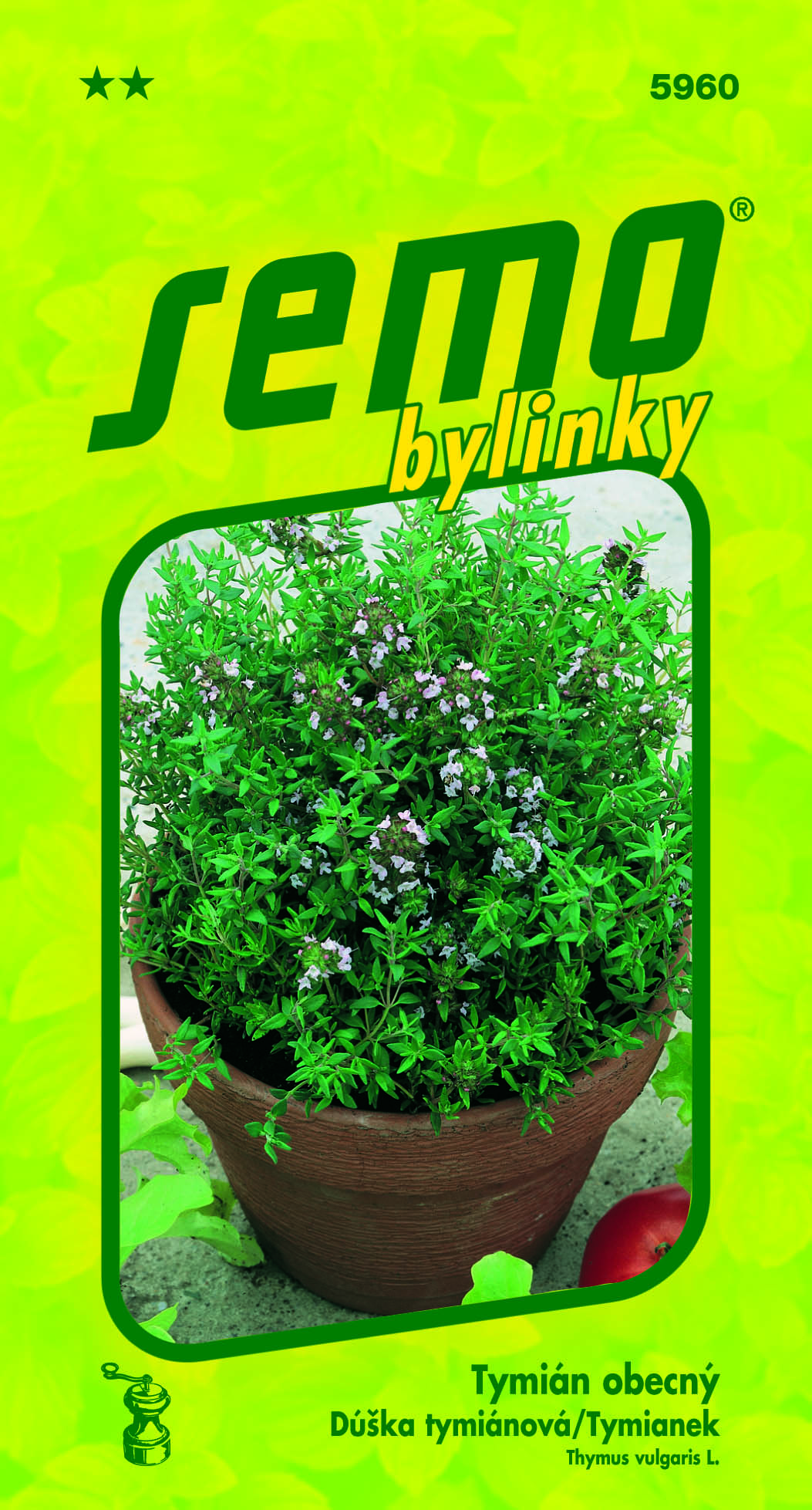 5960_TYMIÁN
