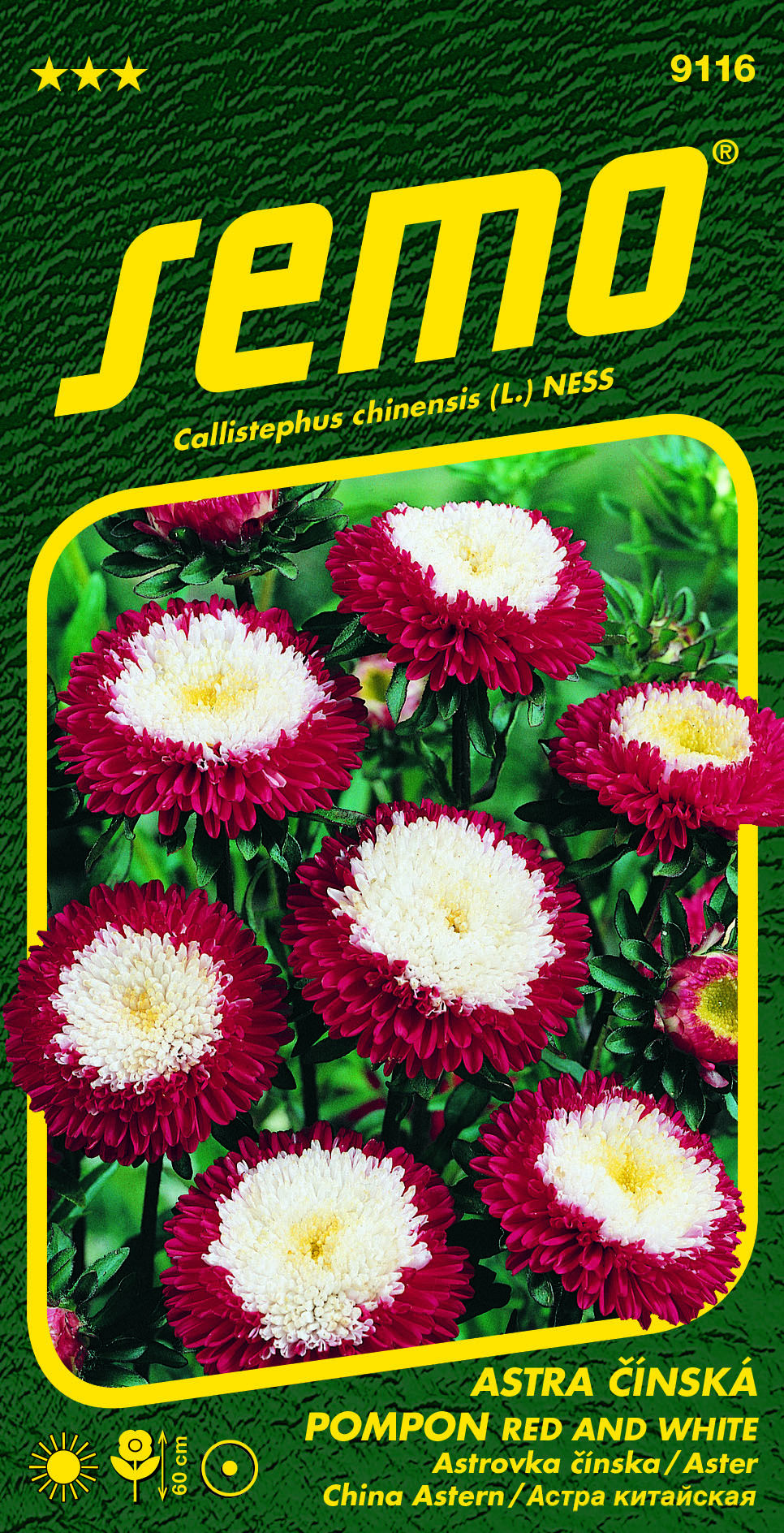 9116_astra čínská POMPON RED AND WHITE