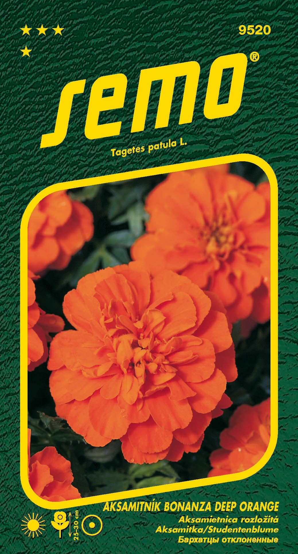 9520_aksamitník BONANZA DEEP ORANGE