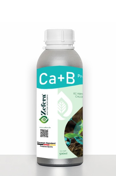 ca + b