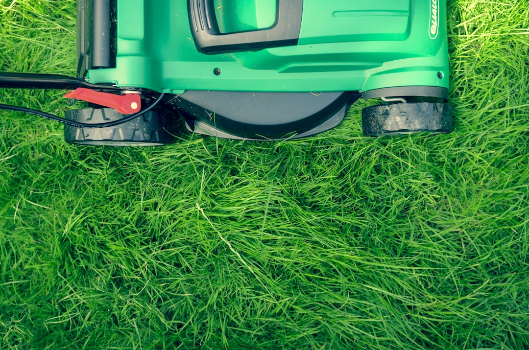 Grüner Rasenmäher schneidet langes Frühjahrsgras von oben – der erste Mähgang vor der Düngung bereitet die Rasennarbe optimal vor