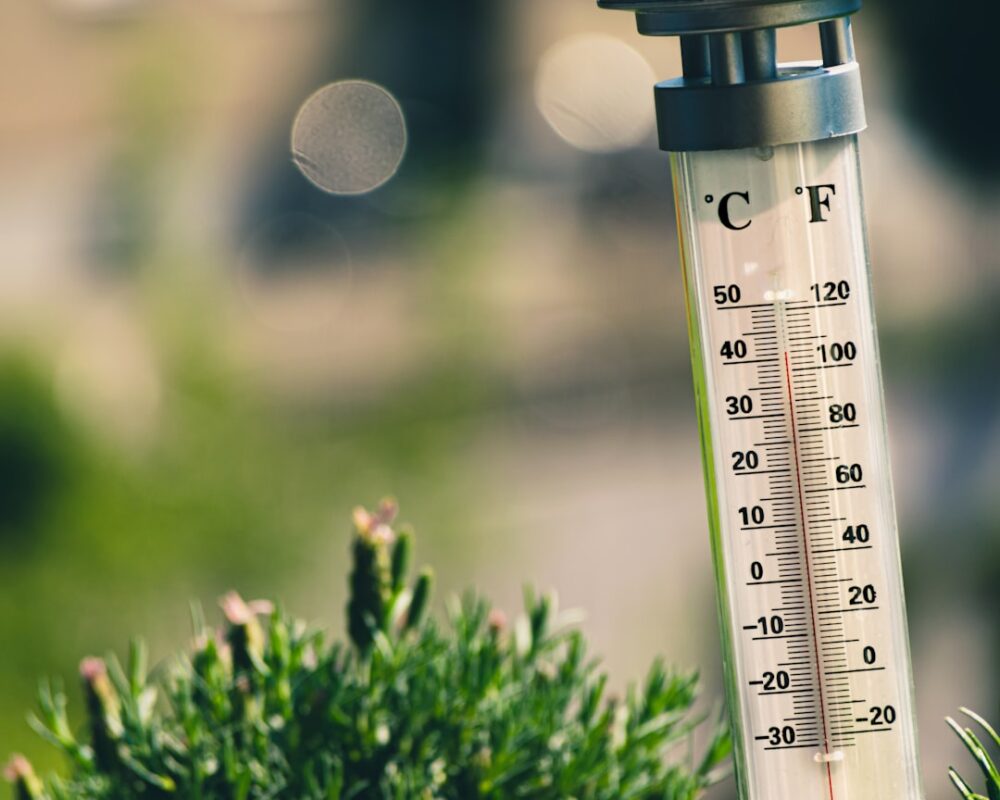 Gartenthermometer vor grünen Pflanzen – die Bodentemperatur von mindestens 8 °C ist der entscheidende Startpunkt für die Frühjahrsdüngung