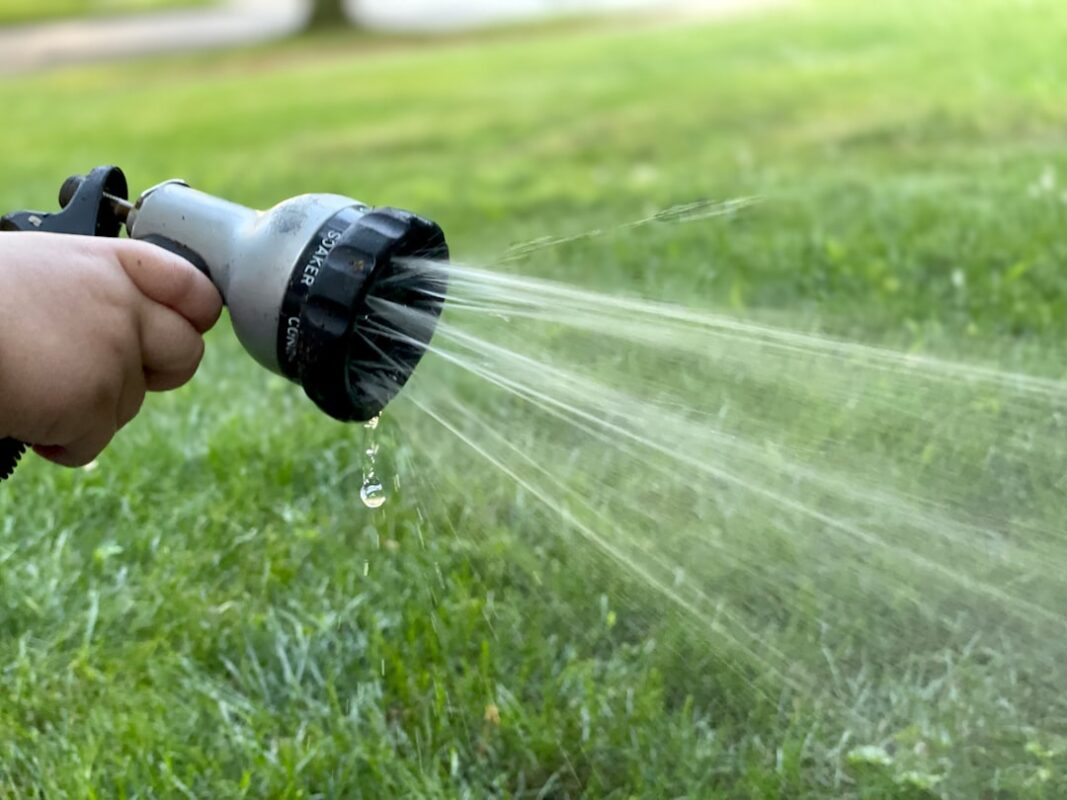 Rasen nach dem Düngen einwässern mit einem Gartenschlauch